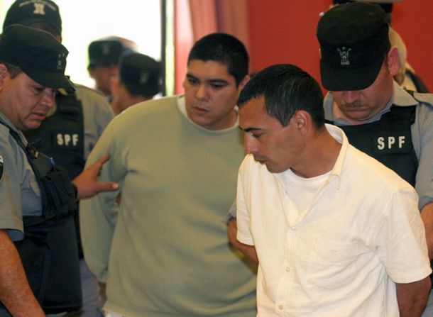 Oso peralta