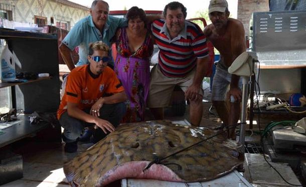 ¿Alcanzará para todos? Pescan una súper raya y hacen 80 kilos de milanesas