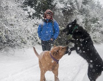 El turismo creció un 10% en esta temporada invernal