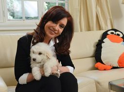 regreso cristina y rompio el luto: agradezco a todos regreso cristina y rompio el luto: agradezco a todos