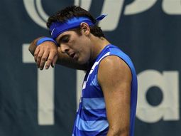 Delpo efe (Medium)