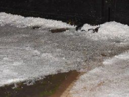 Alerta por tormentas fuertes y granizo en Buenos Aires y otras diez provincias