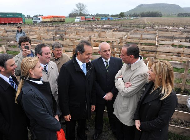 Promueven la actividad porcina entre los productores bonaerenses