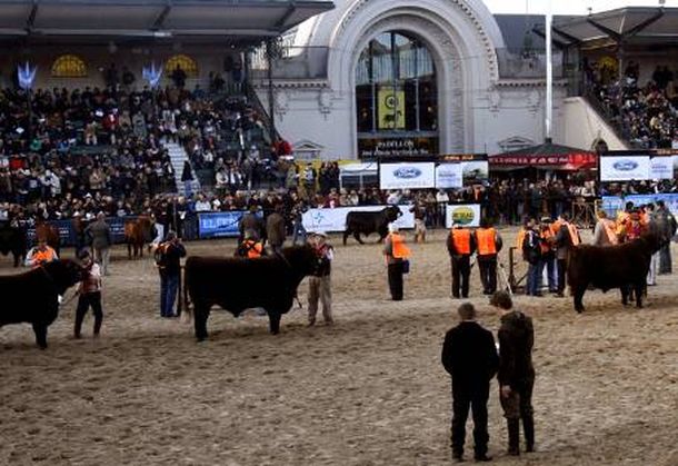 La Sociedad Rural se presentará esta semana ante la Justicia