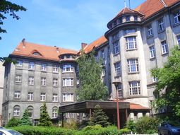 dio a luz tras 55 dias de muerte cerebral dio a luz tras 55 dias de muerte cerebral