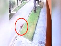 loma hermosa: motochorros huian de un robo y atropellaron a un nene de 5 anos loma hermosa: motochorros huian de un robo y atropellaron a un nene de 5 anos