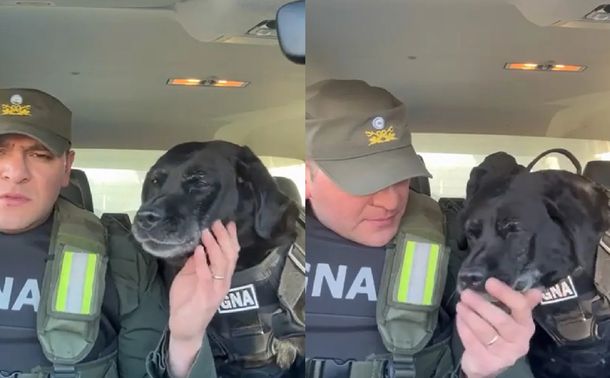 Feliz retiro, compañera: la emocionante despedida de Peki, la perra gendarme que hizo llorar a todos