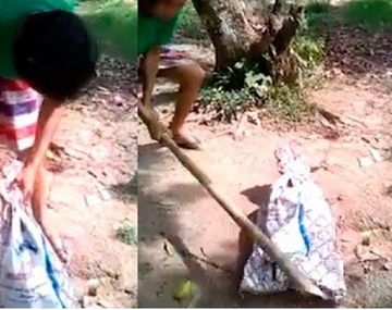 Aberrante: mató a un perro y subió el video a Facebook