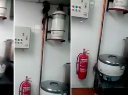 video: decenas de ratas escapan de una cocina video: decenas de ratas escapan de una cocina