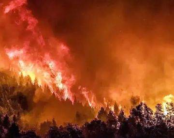 Se consumieron 7.000 hectáreas en Bariloche por el incendio