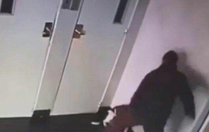 Un hombre golpeó a un perro en el hall de un edificio