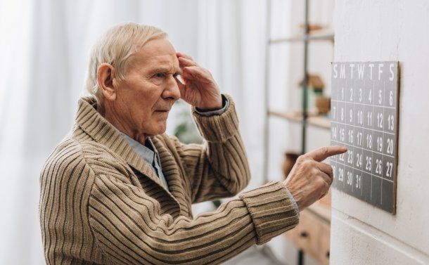 La investigación de Harvard sobre los alimentos que podrían ocasionar demencia