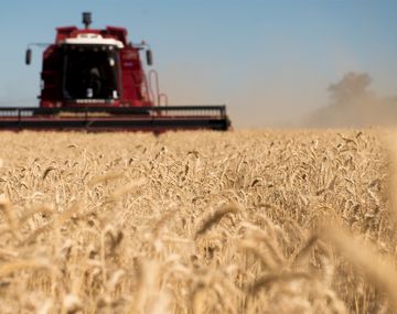 A la espera de una mayor devaluación