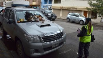 El conductor de la Hilux tuvo su escarmiento El conductor de la Hilux tuvo su escarmiento