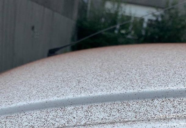 ¡Qué rico! Una lluvia de cacao sorprendió a los habitantes de una ciudad suiza