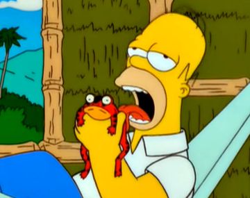 Descubren una droga hecha con hongos