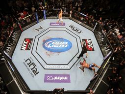 Créditos INK PR / UFC Créditos INK PR / UFC