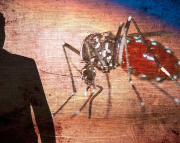 Reportaron el primer casi de dengue en La Pampa