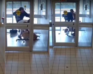 Un pitbull mató a otro perro en segundos