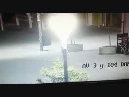 aumenta el panico: son varios los pumas sueltos en villa gesell aumenta el panico: son varios los pumas sueltos en villa gesell