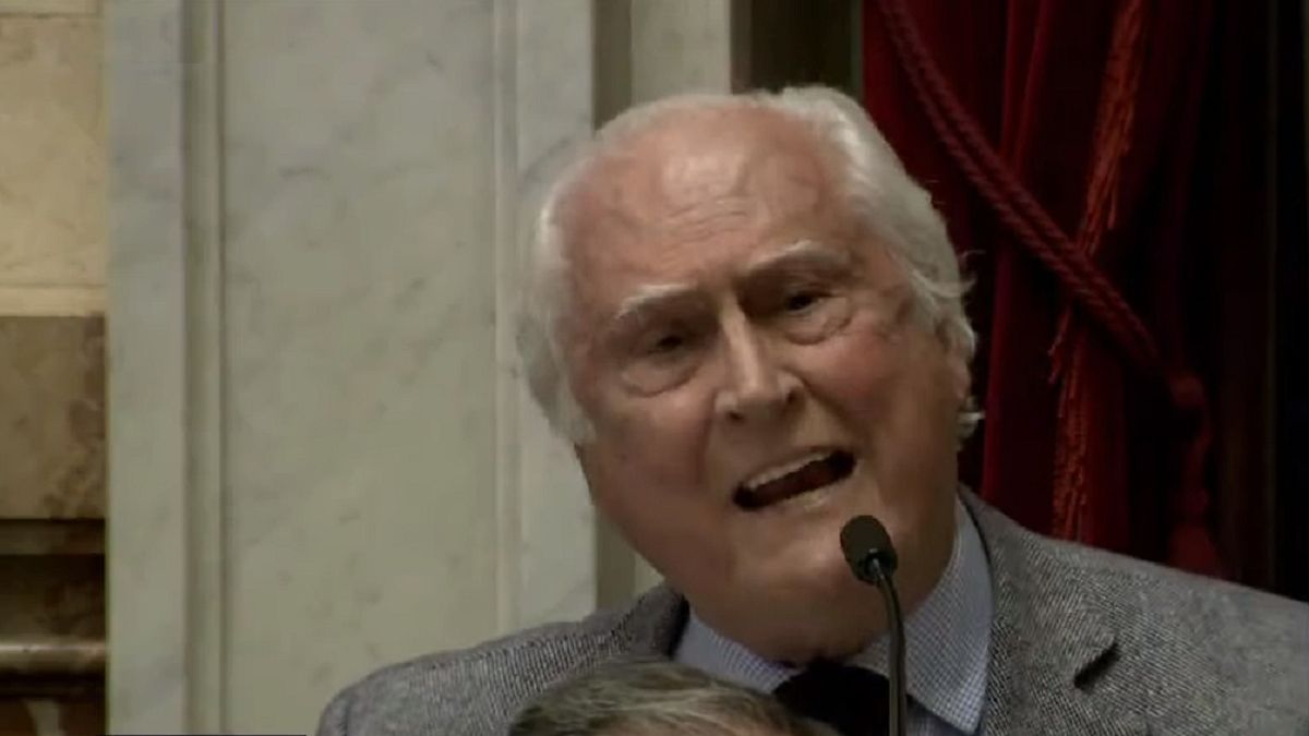 Murió Pino Solanas: el inolvidable discurso con el que defendió el aborto  legal, seguro y gratuito
