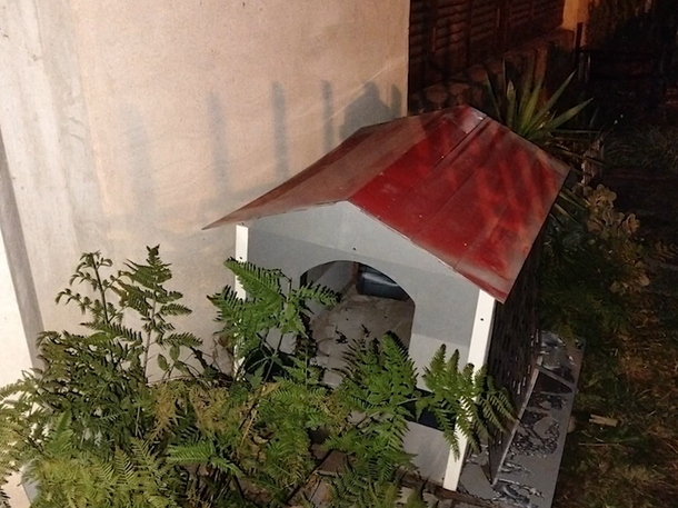 Video: escapó tras un robo en Villa Devoto y terminó escondido en la cucha de un perro