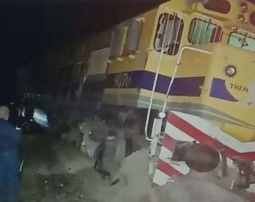 El Tren Patagónico impactó contra un toro que se cruzó en la vía y descarriló