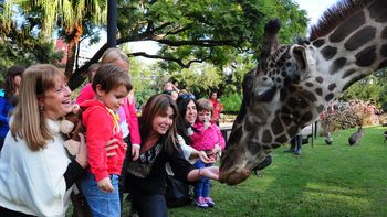 c5n te invita al zoologico de buenos aires por el dia del nino c5n te invita al zoologico de buenos aires por el dia del nino