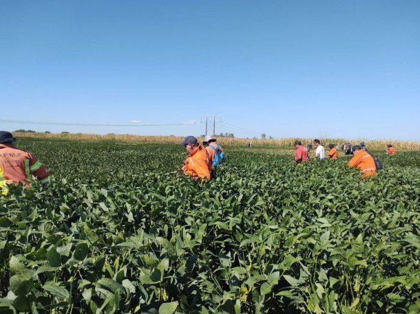 Intensifican la búsqueda de Lian en Córdoba: secuestraron una camioneta y tres celulares