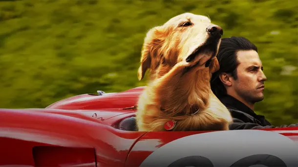 Cuenta la historia sobre un perro y una familia con la que es imposible no llorar