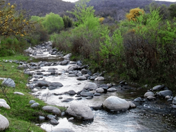 Un refugio de paz entre paisajes naturales únicos para descansar.