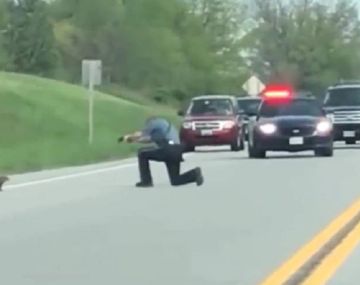 El policía le disparó dos veces a la marmota