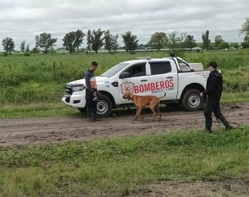 Foto: Somos la Ciudad Paraná