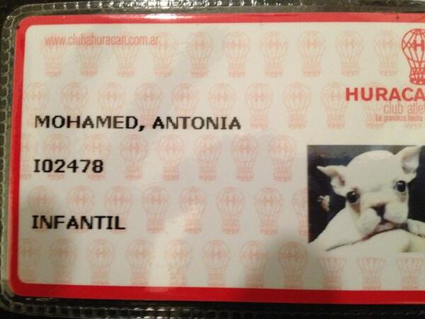 De no creer: Antonia, la socia más particular de Huracán