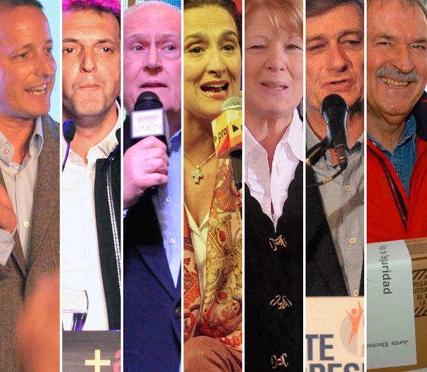 Massa se impuso en la Provincia y el FpV ratificó su supremacía a nivel nacional