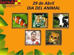 en el dia del animal, los hinchas se rien de funes mori en el dia del animal, los hinchas se rien de funes mori