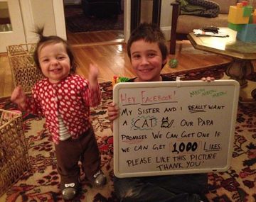Gracias a Facebook consiguieron que su papá les regale un gato