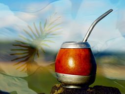 Mate