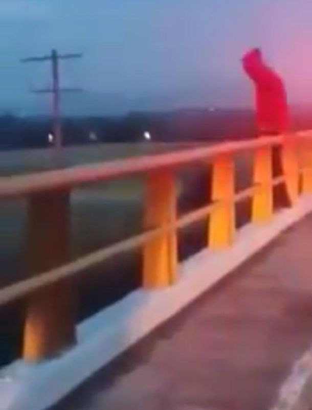 VIDEO: La Policía evitó que un joven se tirara al vacío de un puente
