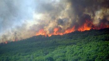 descontrolados incendios forestales en neuquen descontrolados incendios forestales en neuquen