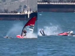impacto inesperado en el agua: un windsurfista choco contra una ballena en plena practica impacto inesperado en el agua: un windsurfista choco contra una ballena en plena practica