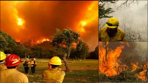 Declaran la emergencia ambiental en la cordillera por los incendios forestales