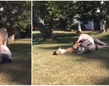 Facundo Arana y un tierno video con un caballo