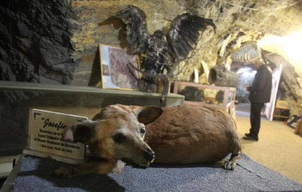 Gentileza diario de Cuyo.