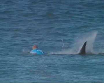 VIDEO: Mirá el feroz ataque de un tiburón a famoso surfista en una competencia
