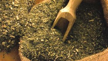 Yerba mate Yerba mate