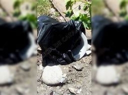 Inexplicable: robaron el inodoro de un hospital