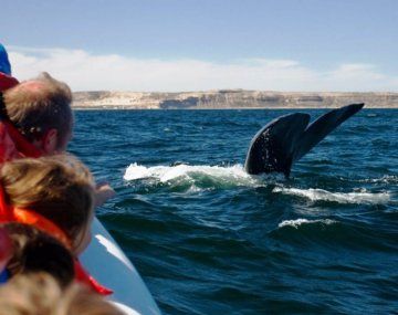 Postergan el inicio de la temporada de avistaje de ballenas en Puerto Pirámides