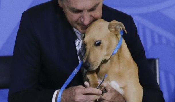 Jair Bolsonaro hizo firmar a un perro una ley contra el maltrato animal