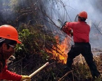 Un incendio forestal arrasó con 1500 hectáreas en Catamarca